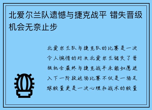 北爱尔兰队遗憾与捷克战平 错失晋级机会无奈止步