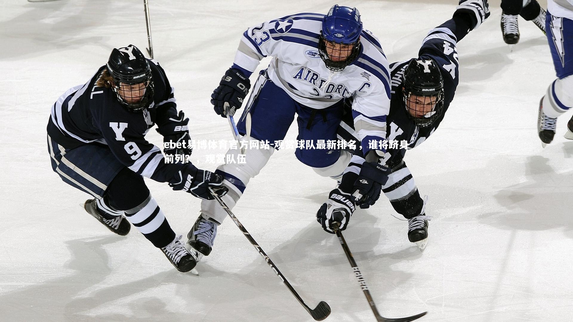 观赏球队最新排名,谁将跻身前列?,观赏队伍