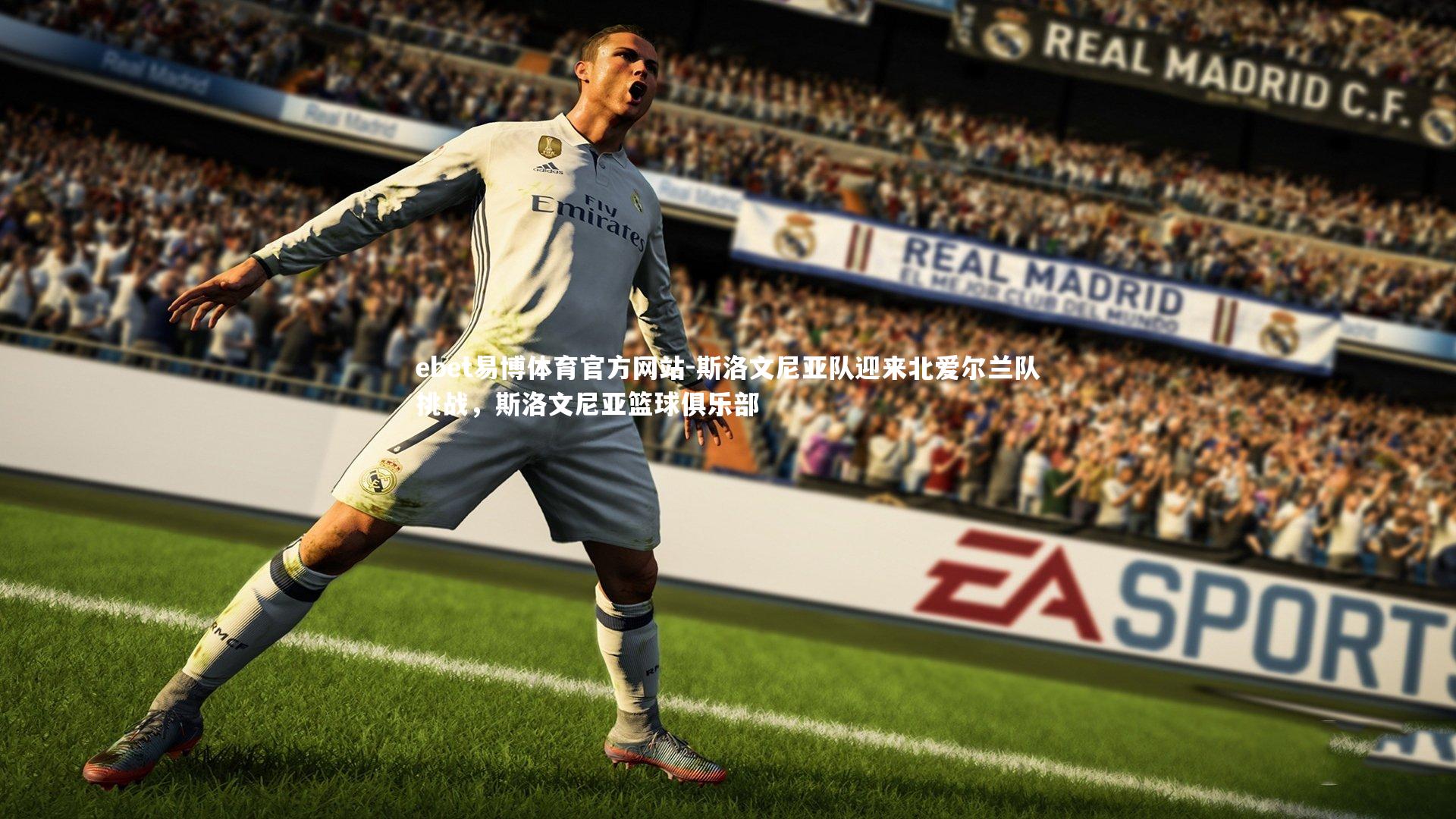 斯洛文尼亚队迎来北爱尔兰队挑战，斯洛文尼亚篮球俱乐部