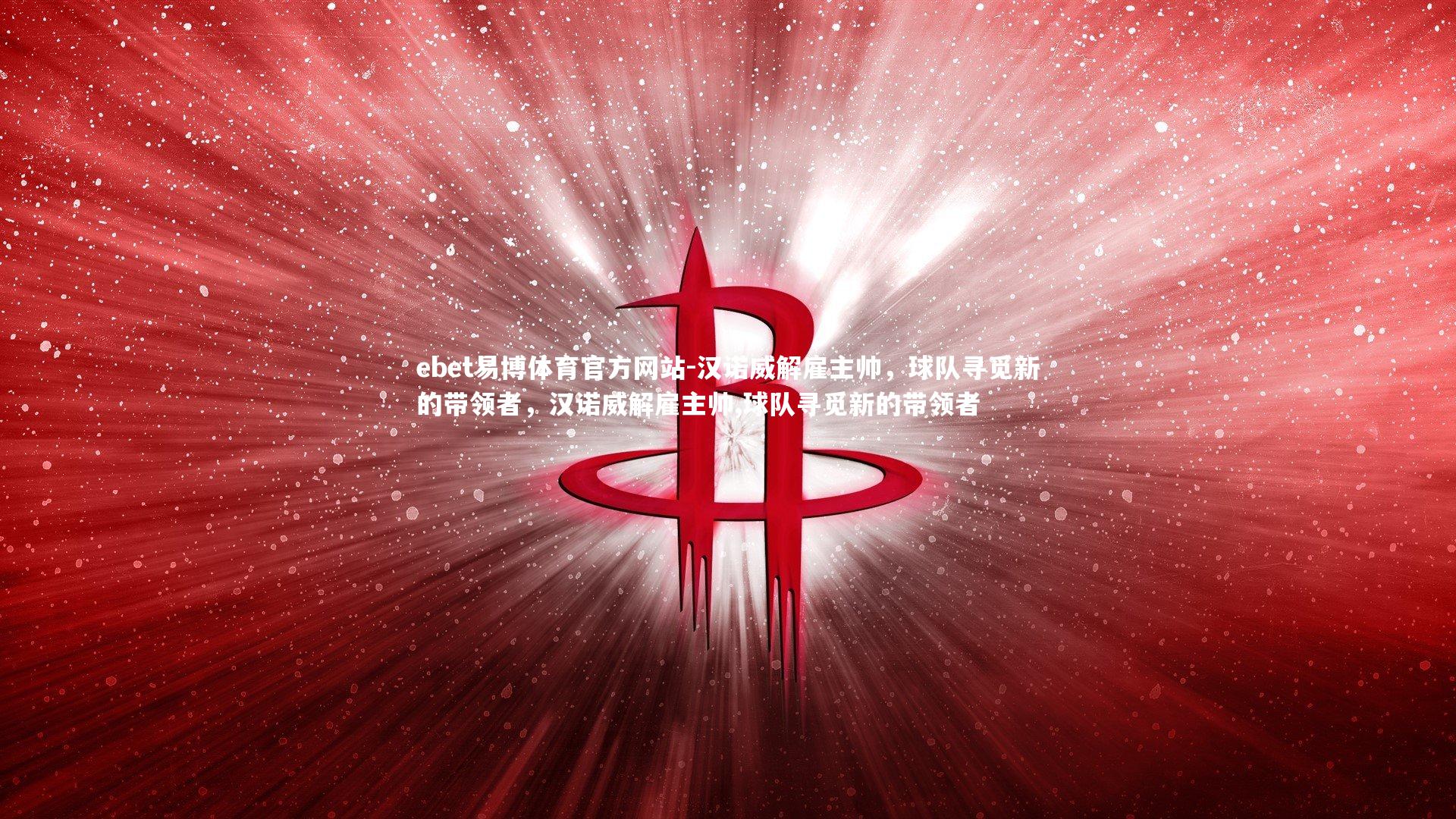 汉诺威解雇主帅,球队寻觅新的带领者,汉诺威解雇主帅,球队寻觅新的带领者