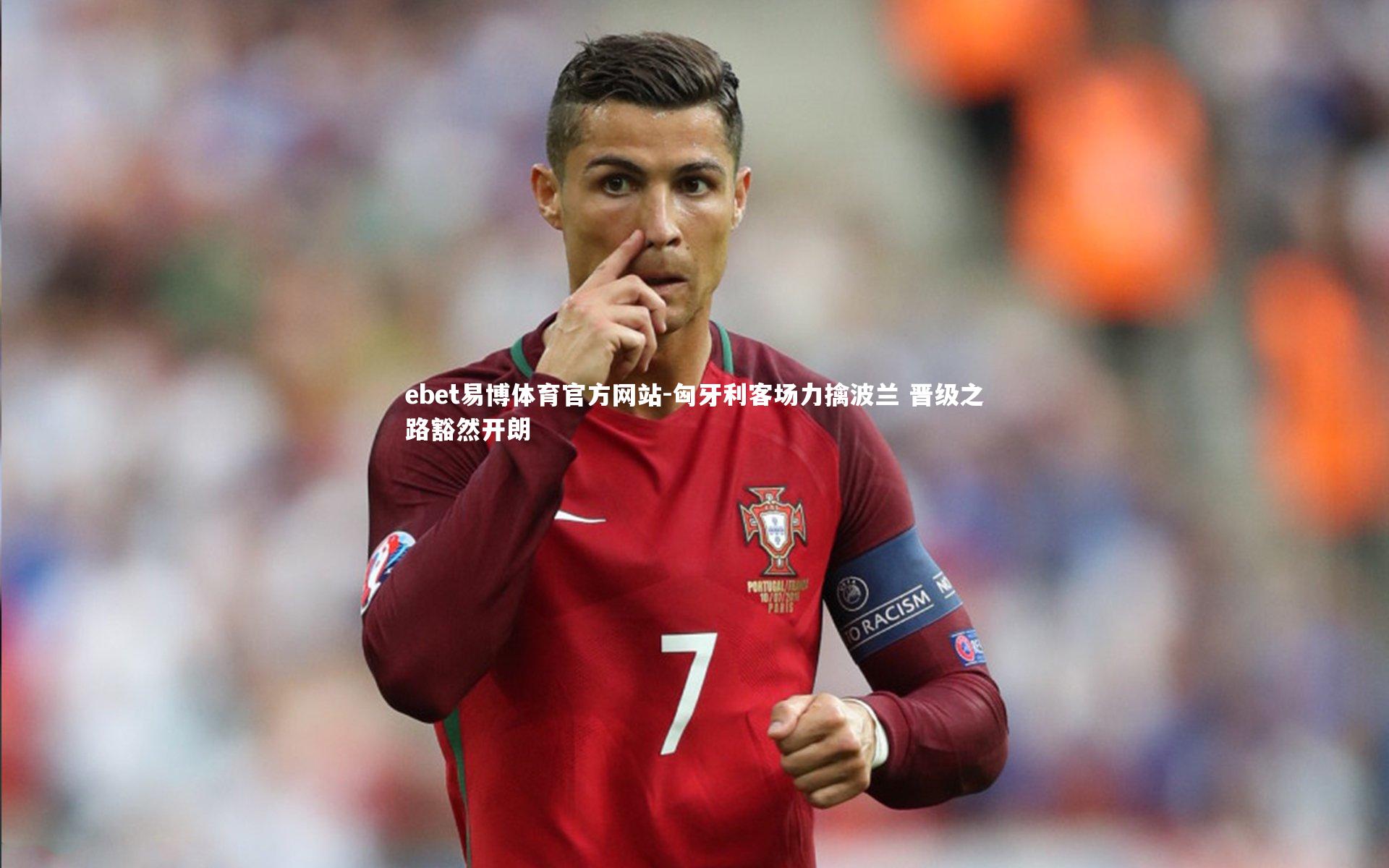 匈牙利客场力擒波兰 晋级之路豁然开朗