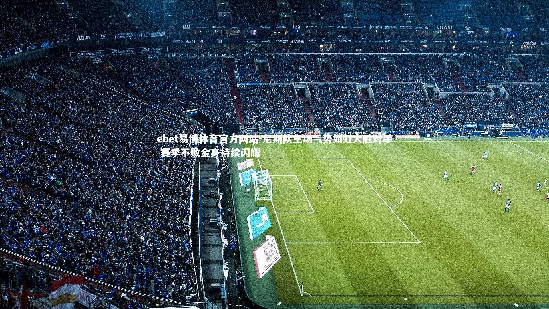 尼斯队主场气势如虹大胜对手 赛季不败金身持续闪耀